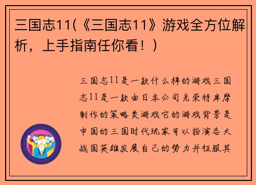 三国志11(《三国志11》游戏全方位解析，上手指南任你看！)